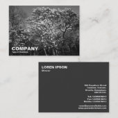 Magnolia bomen in bloesem (BW) Visitekaartje (Voorkant / Achterkant)