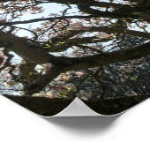 Magnolia bomen, takken en bloesem 05 poster (Hoek)