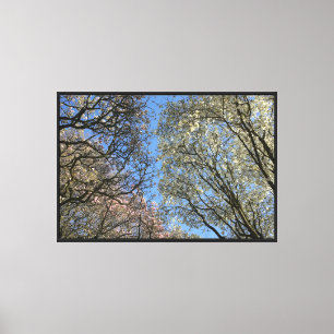 Magnolia bomen, takken en bloesem canvas afdruk