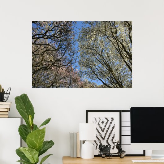 Magnolia bomen, takken en bloesem poster (Thuiskantoor)