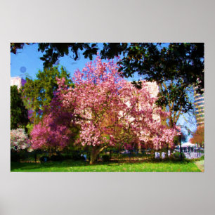 Magnolia Boom Digitale Kunstschilderij Poster