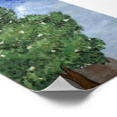 Magnolia - boom in City Park Poster (Hoek)