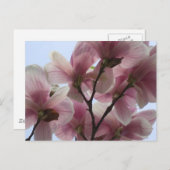 Magnolia-boom in het Briefkaart Bloom (Voorkant / Achterkant)