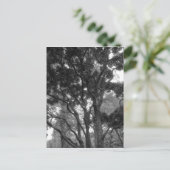 Magnolia-boom in zomerbaan briefkaart (Staand voorkant)