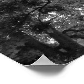 Magnolia-boom in zomerbaan poster (Hoek)