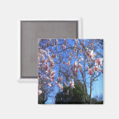 Magnolia-boom..... Magneet (Voorkant / Achterkant)
