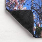 Magnolia-boom..... Muismat (Hoek)