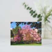 Magnolia Boomkaart Briefkaart (Staand voorkant)