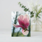 Magnolia Bossen Briefkaart (Staand voorkant)