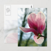 Magnolia Bossen Briefkaart (Voorkant / Achterkant)
