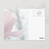 Magnolia Bossen Briefkaart (Achterkant)