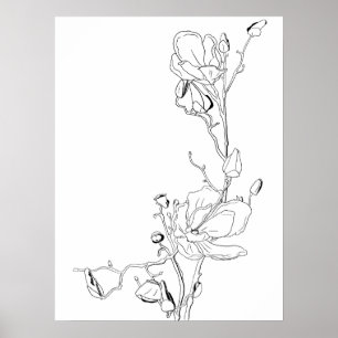 Magnolia Botanische Lijntekening Poster