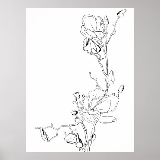 Magnolia Botanische Lijntekening Poster (Voorkant)