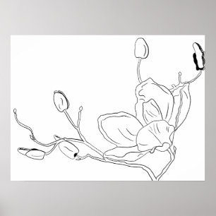 Magnolia Botanische Lijntekening Poster