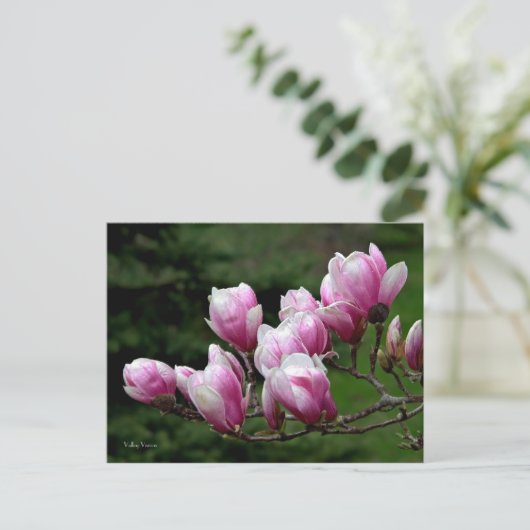 Magnolia Branch Briefkaart (Staand voorkant)
