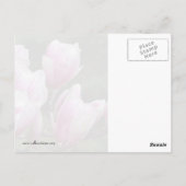 Magnolia Branch Briefkaart (Achterkant)