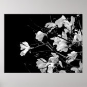 Magnolia Branches Art Poster (Voorkant)