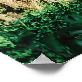 Magnolia Bridge Poster (Hoek)