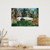 Magnolia Bridge Poster (Keuken)