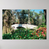 Magnolia Bridge Poster (Voorkant)