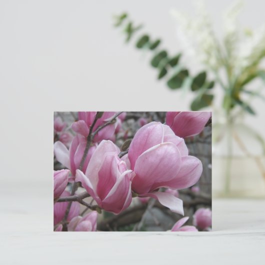 Magnolia Briefkaart (Staand voorkant)