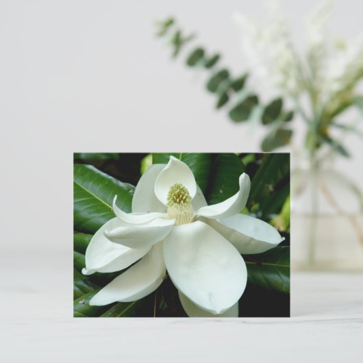 Magnolia Briefkaart (Staand voorkant)