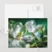 Magnolia Briefkaart (Voorkant / Achterkant)