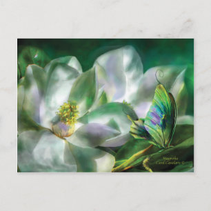 Magnolia Briefkaart