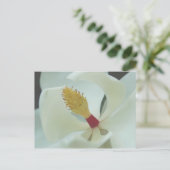 Magnolia Briefkaart (Staand voorkant)