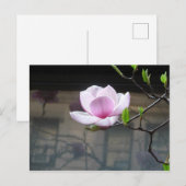 MAGNOLIA BRIEFKAART (Voorkant / Achterkant)