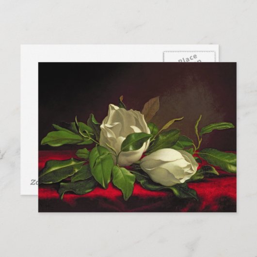 Magnolia Briefkaart (Voorkant / Achterkant)