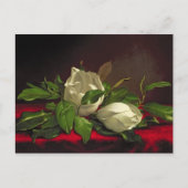 Magnolia Briefkaart (Voorkant)