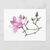 Magnolia Briefkaart (Voorkant)