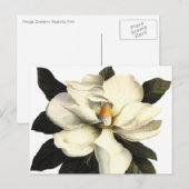 Magnolia Briefkaart (Voorkant / Achterkant)