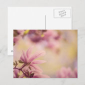 Magnolia Briefkaart (Voorkant / Achterkant)