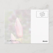 Magnolia Buds Briefkaart (Achterkant)