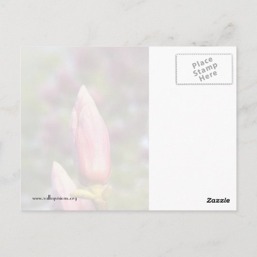 Magnolia Buds Briefkaart (Achterkant)