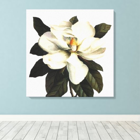 Magnolia Canvas Afdruk (Insitu (Houten vloer))