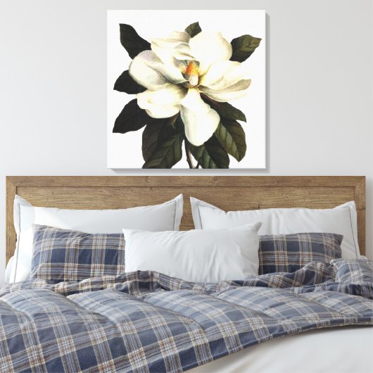 Magnolia Canvas Afdruk (Insitu (Slaapkamer))