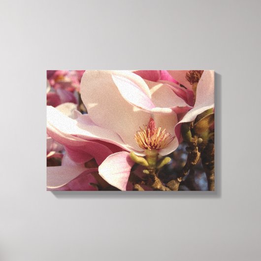 Magnolia Canvas Afdruk (Voorkant)