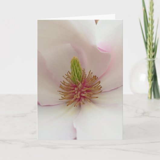 Magnolia Card White Blossom Card Personaliseren Feestdagen Kaart (Voorkant)