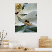 Magnolia CLOSE-UP Poster (Keuken)