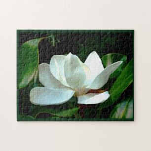 Magnolia Closeup Legpuzzel