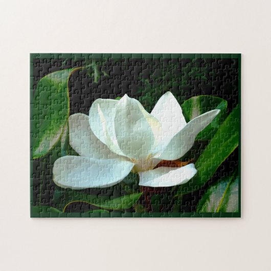 Magnolia Closeup Legpuzzel (Horizontaal)