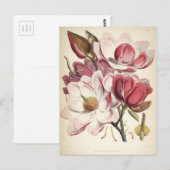 Magnolia - Collectie voor chemische stoffen Briefkaart (Voorkant / Achterkant)