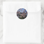 Magnolia dawsoniana #2 Sticker (Tas)
