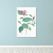 Magnolia discolor, gegraveerd door Legrand (kleur Canvas Afdruk (Insitu (Houten vloer))