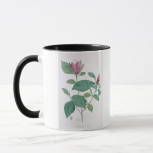 Magnolia discolor, gegraveerd door Legrand (kleur Mok
