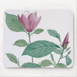 Magnolia discolor, gegraveerd door Legrand (kleur Muismat