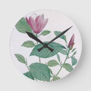 Magnolia discolor, gegraveerd door Legrand (kleur  Ronde Klok